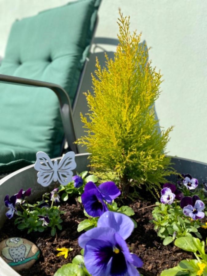 Apartmany U Rybnicka Pribraz Kültér fotó
